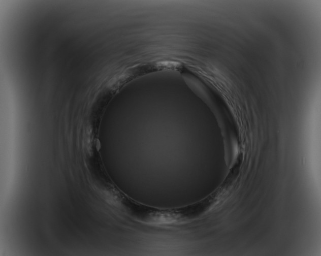 X0000085790223200703231315
