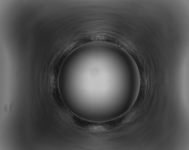 X0000085790224200703231315