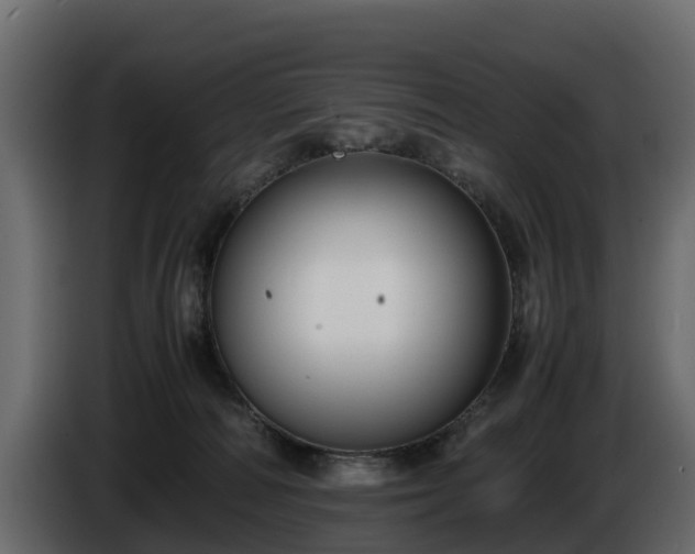 X0000085790226200703231315
