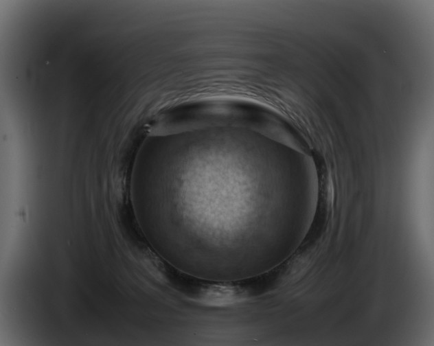 X0000085790227200703231315