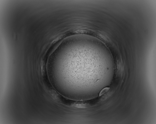 X0000085790228200703231315