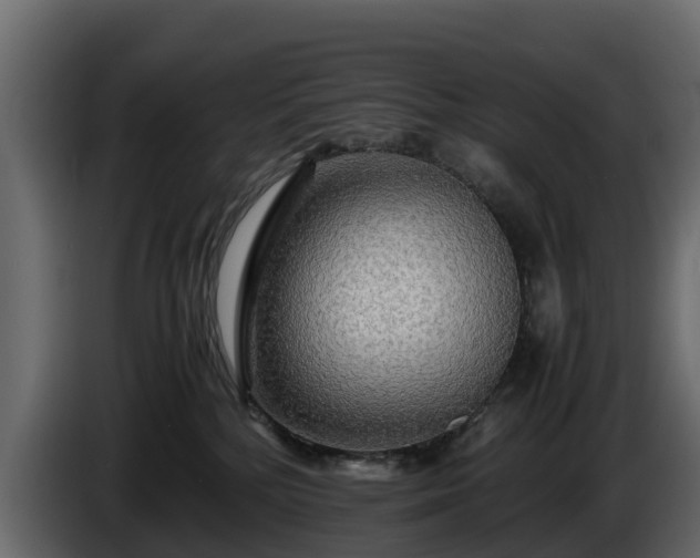 X0000085790232200703231315