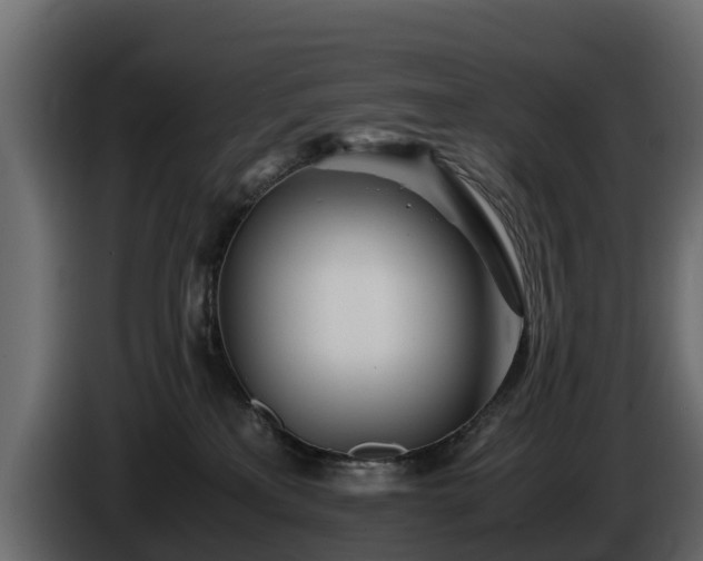 X0000085790233200703231315