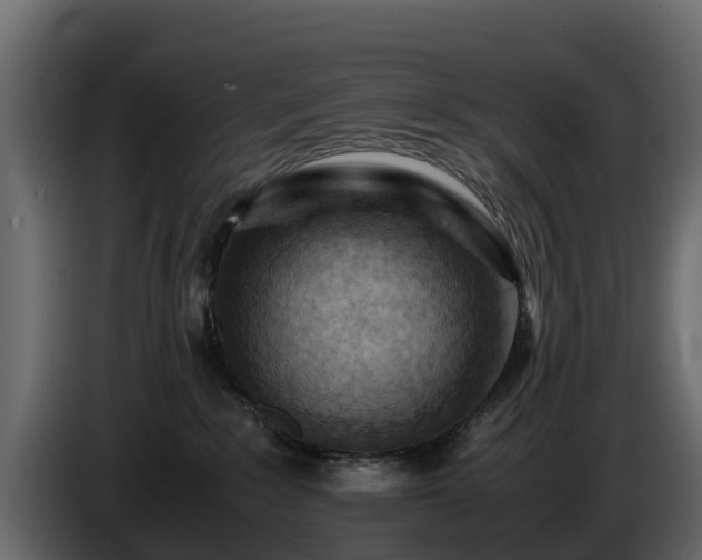 X0000085790235200703231315