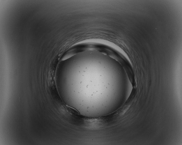 X0000085790237200703231315