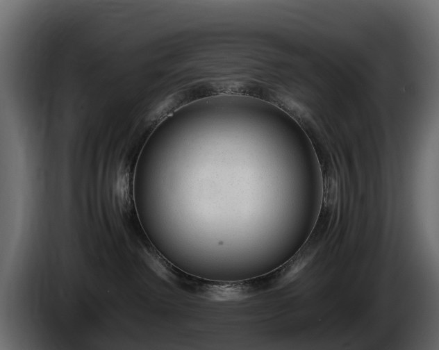X0000085790238200703231315