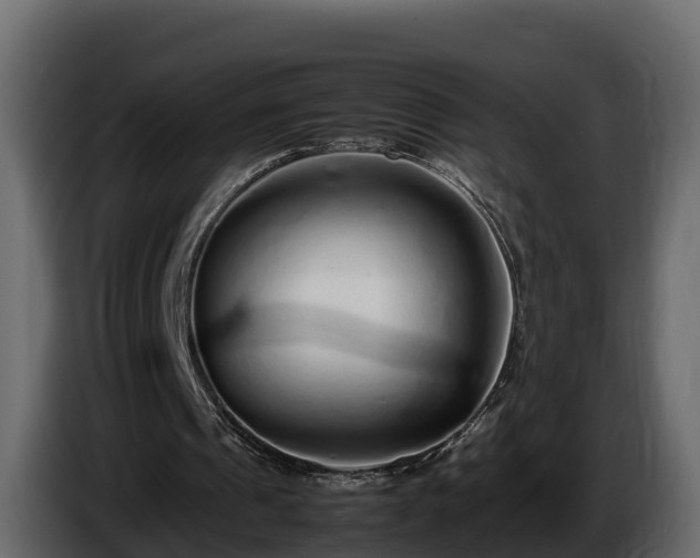 X0000085790241200703231314