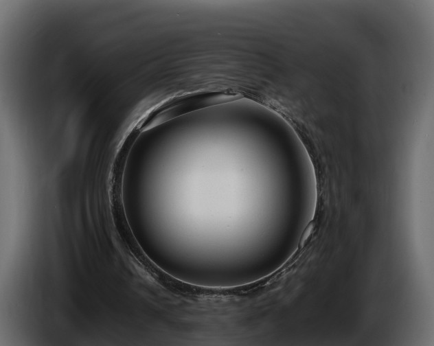 X0000085790242200703231314