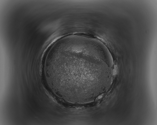X0000085790243200703231314