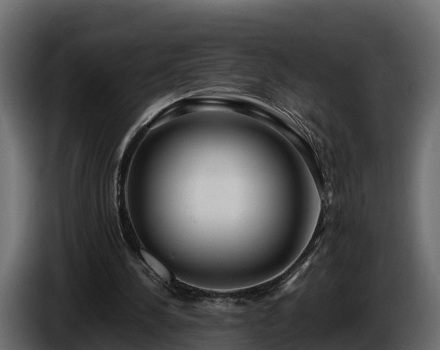 X0000085790244200703231314