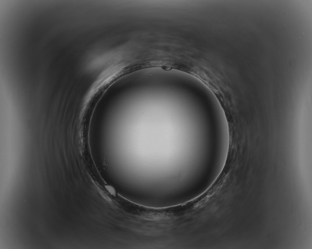X0000085790245200703231314