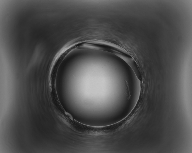 X0000085790246200703231314