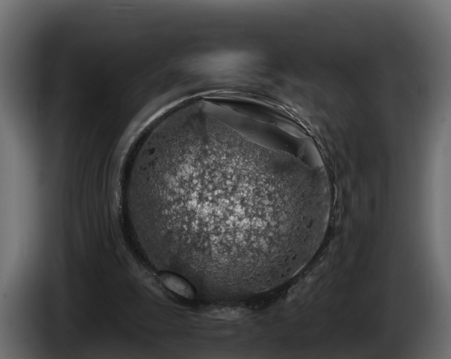 X0000085790247200703231314