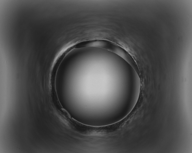 X0000085790248200703231314