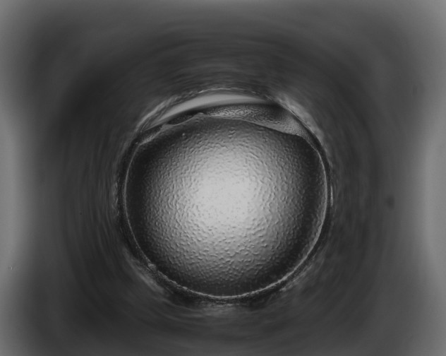 X0000085790249200703231314