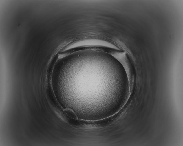 X0000085790250200703231314