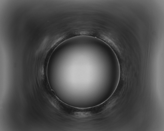 X0000085790251200703231314