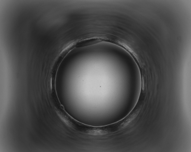 X0000085790253200703231314