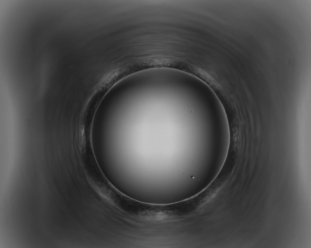 X0000085790254200703231314
