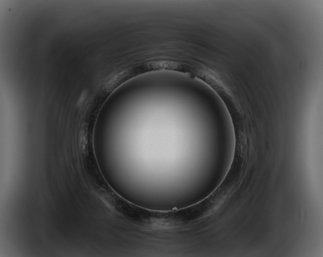 X0000085790259200703231314