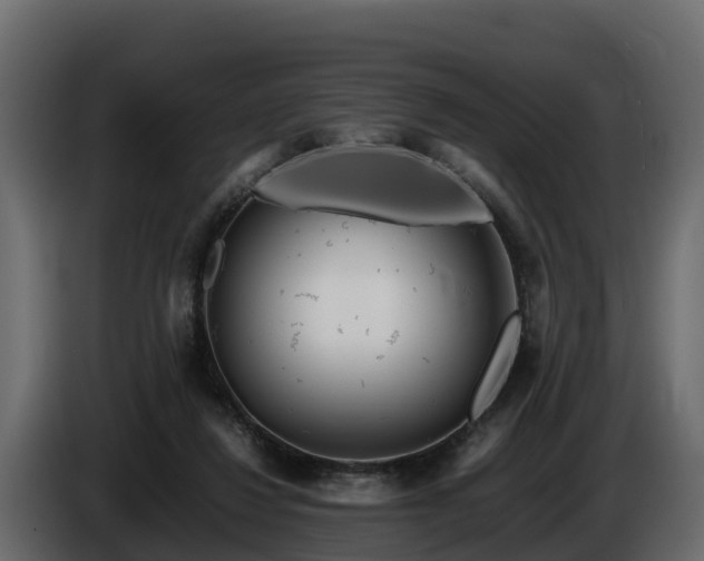 X0000085790260200703231314
