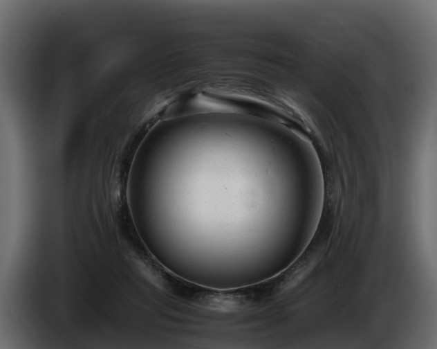 X0000085790261200703231314