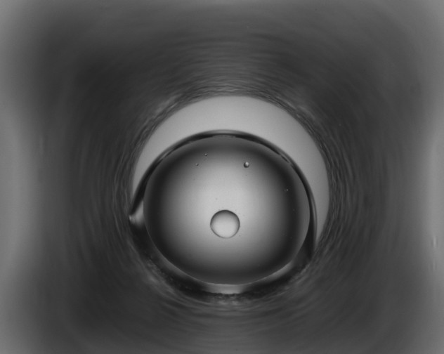 X0000085790264200703231314