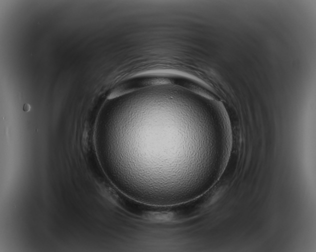 X0000085790266200703231314