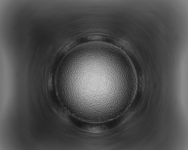 X0000085790267200703231314