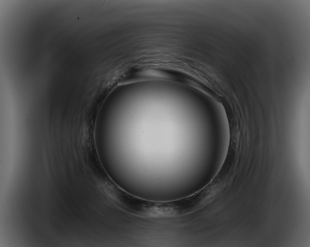 X0000085790270200703231314