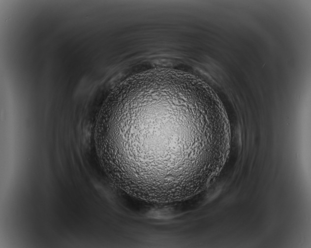 X0000085790271200703231314