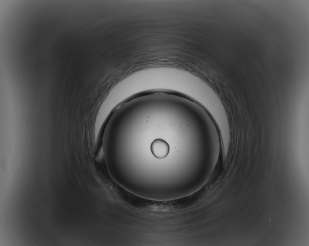 X0000085790272200703231314