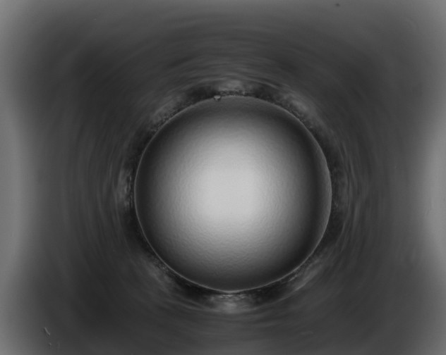 X0000085790273200703231314