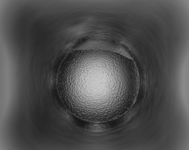 X0000085790277200703231314