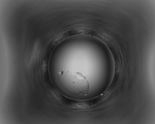 X0000085790279200703231314