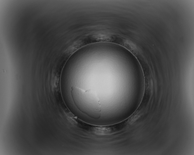 X0000085790281200703231314