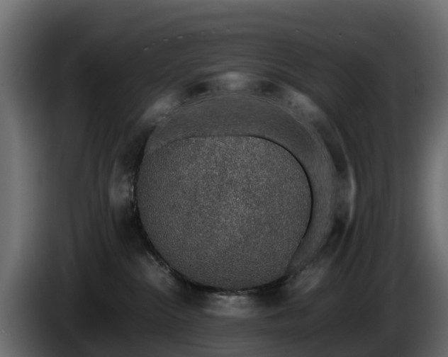 X0000085790284200703231314