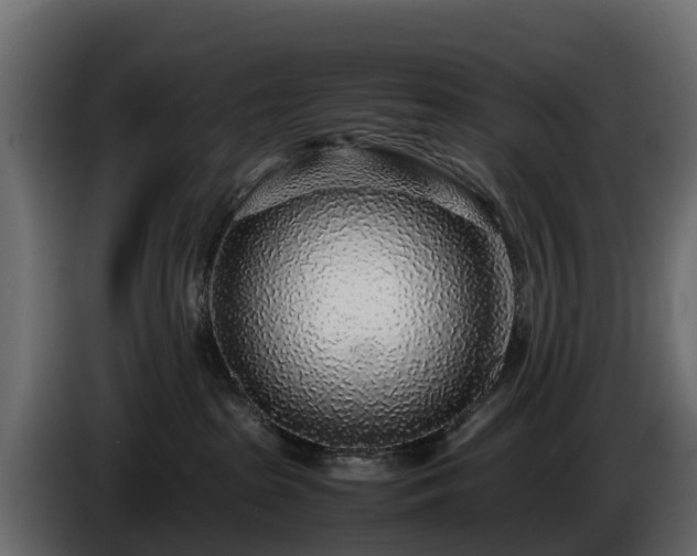 X0000085790285200703231314