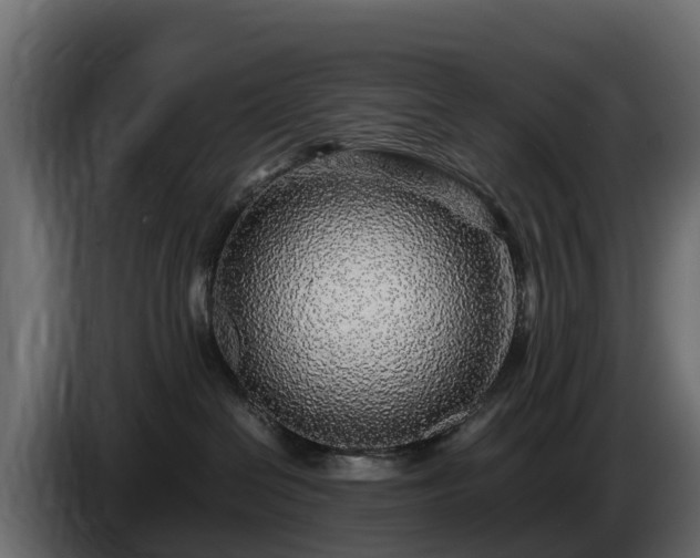 X0000085790286200703231314