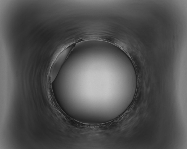X0000085790289200703231314
