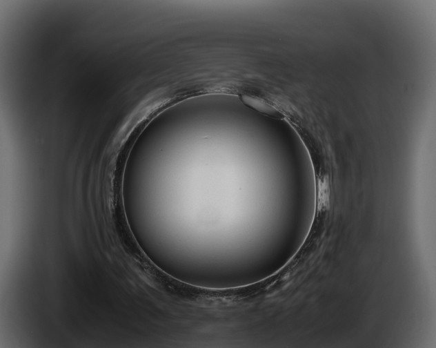 X0000085790291200703231314