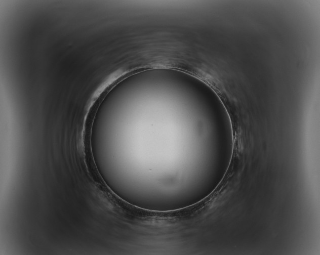 X0000085790292200703231314
