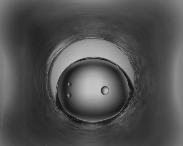 X0000085790293200703231314