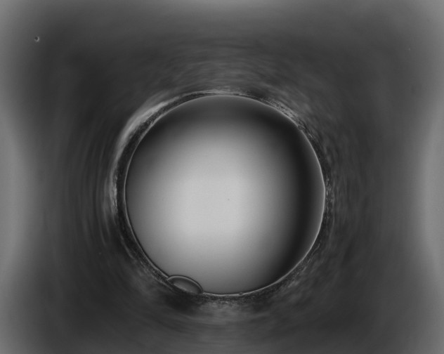 X0000085790294200703231314