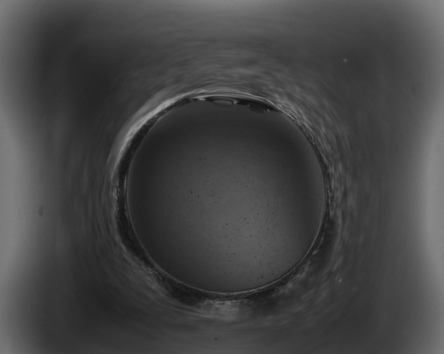 X0000085790295200703231314