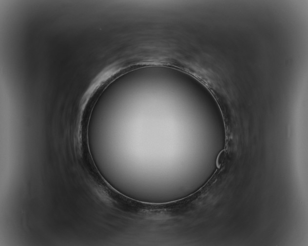 X0000085790296200703231314