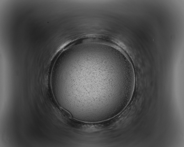 X0000085790297200703231314