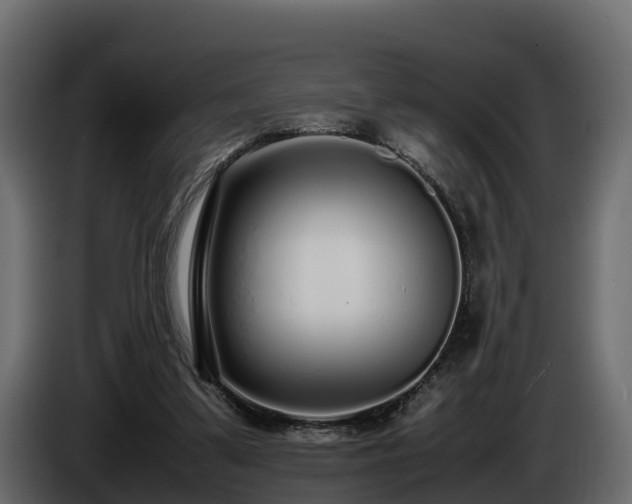 X0000085790299200703231314