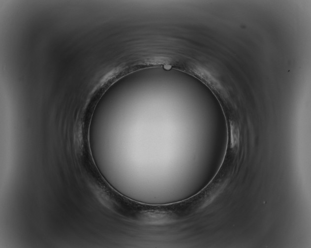 X0000085790300200703231314