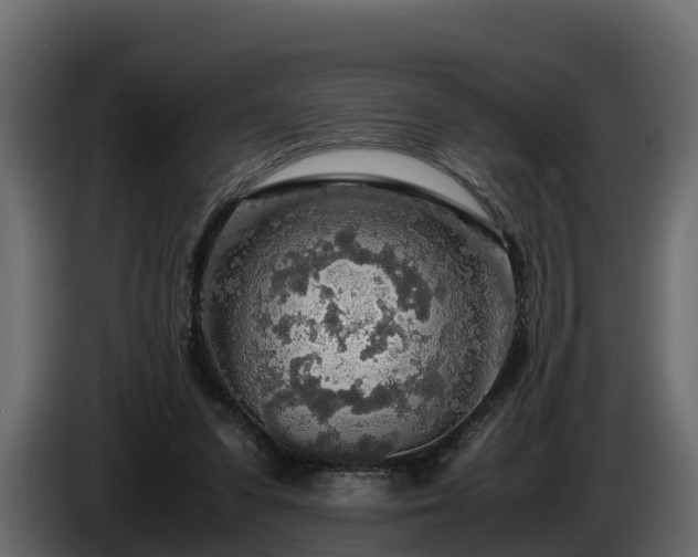X0000085790303200703231314